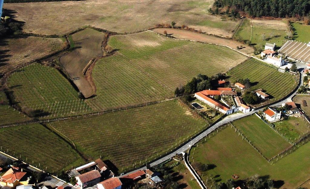 Quinta De Santa Baia Vendégház Gaifar Kültér fotó